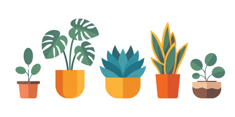 Set of five various indoor houseplants featuring monstera and succulent species in colorful pots Vector © MDSOPON