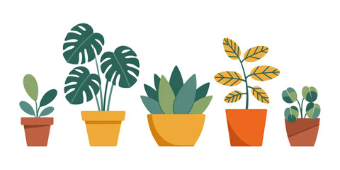 A collection of five different indoor house plants growing in colorful ceramic flower pots set Vector © MDSOPON
