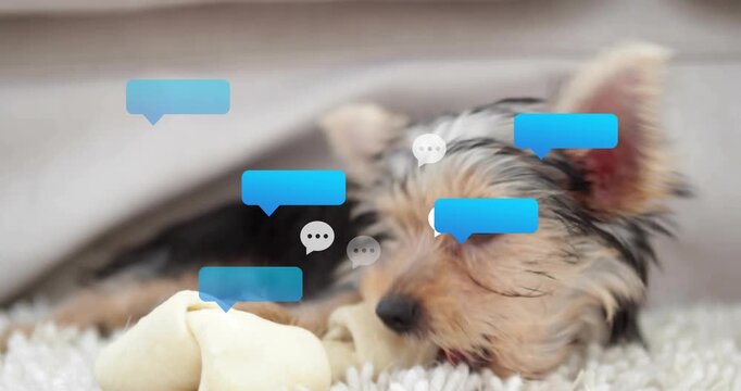 Puppy grabbing rawhide bone on white-rug, chewing for pet-care while chat-bubbles floating nearby