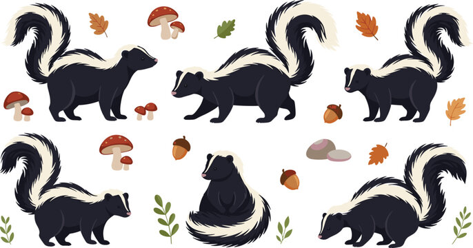 Flat vector illustration set of cute skunks in various poses including sitting and walking with forest elements like mushrooms acorns and leaves on white background