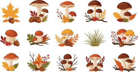 Autumn Forest Mushroom and Fall Leaves Vector Collection Featuring Wild Fungi, Acorns, Branches, Grass, and Seasonal Woodland Botanical Elements © Yousuf