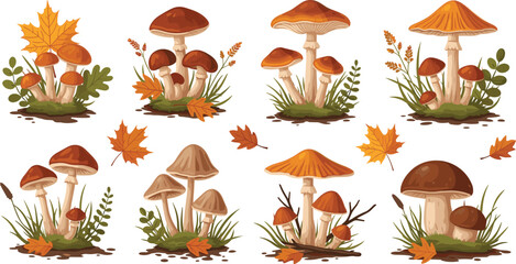 Autumn Forest Mushroom Collection Vector Illustration Set with Wild Fungi Growing in Grass and Fallen Maple Leaves Woodland Botanical Elements © Yousuf