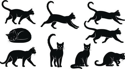 Black cat silhouette collection featuring various poses including walking, sitting, stretching and sleeping, domestic feline animal illustration set isolated on white background © MostArjuma