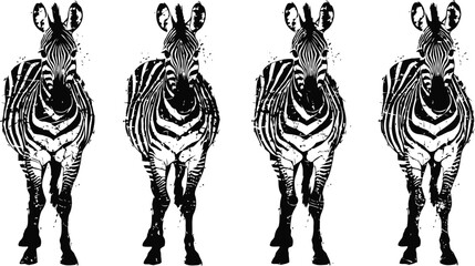 Fototapeta premium Four black and white zebras standing side by side facing forward with distinct stripes pattern