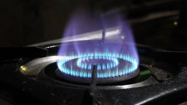 Domestic gas stove burner with a vibrant blue flame used for cooking