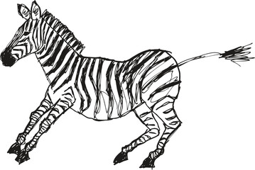 Fototapeta premium Black and white zebra jumping in motion wild african animal with striped fur, agile and energetic pose