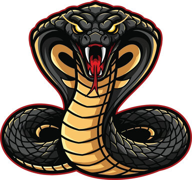 Aggressive black and yellow cobra snake head is depicted in a fierce, stylized mascot design.