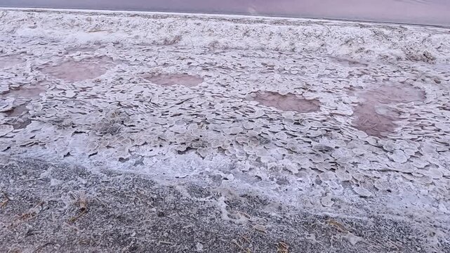 The Kuyalnik Estuary shoreline covered with round pancake-like plates of white self-precipitated table salt crystals of sodium chloride, forming a hypersaline landscape resembling the Dead Sea