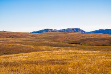 Obraz premium Beautiful prairie landscape at Custer State Park in South Dakota.