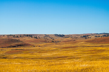 Fototapeta premium Beautiful prairie landscape at Custer State Park in South Dakota.