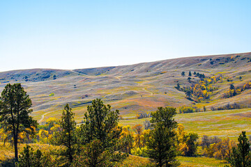 Obraz premium Beautiful prairie landscape at Custer State Park in South Dakota.