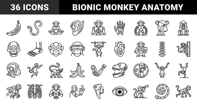 Cybernetic primate and bionic evolution line art. Technical monoline icons featuring robotic monkeys, mechanical anatomy, and futuristic biotech concepts.