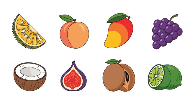 Variety of colorful fresh tropical fruits