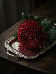 Red flower rests on a silver tray in a dimly lit room
