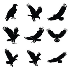 Obraz premium Bald Eagle Silhouette Set - 9 Flying and Perching Raptor Vector Icons
