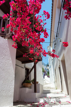 Panorama of The town of Skiathos, Sporades, Thessaly, Greece