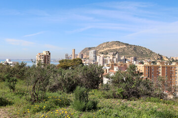Obraz premium Panoramic view Alicante city and Sierra Grossa mountain in the background