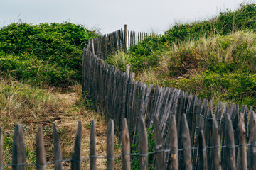 Obraz premium wooden fence and grass