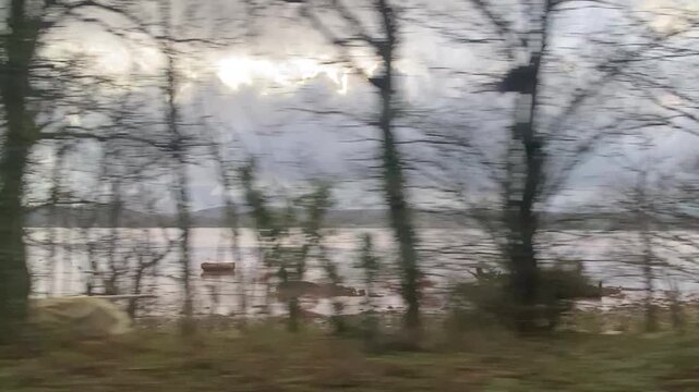 Scenic view of calm estuary water with gentle ripples and reflections under natural daylight. Peaceful coastal landscape showcasing tranquil waters, natural beauty and countryside scenery.