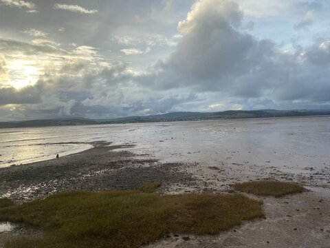 Scenic view across the mudflats and tidal waters of the Exe Estuary in Devon, UK. The protected estuary is an important coastal habitat and wildlife refuge supporting diverse birdlife wetlands