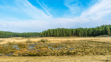 Wiosna na Warmii. © Janusz Lipiński