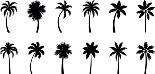 Collection of tropical palm tree silhouettes isolated on white background, exotic beach and island botanical vector set for summer design