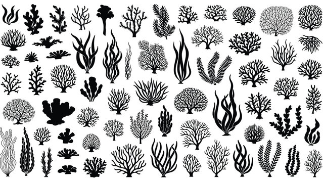 Large collection of diverse coral and seaweed silhouettes representing underwater ocean life and marine biodiversity.