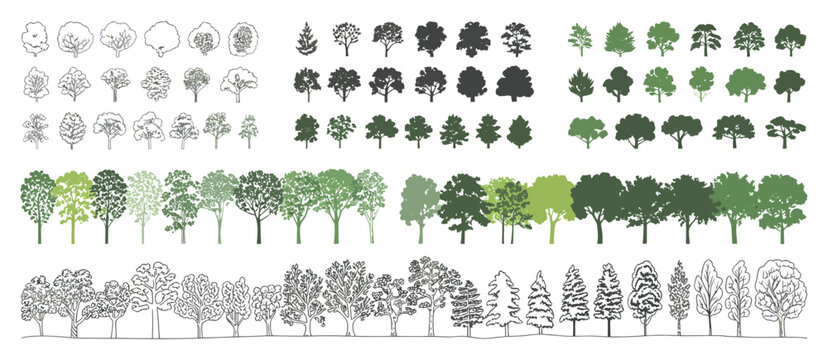 Architectural CAD Tree Line Set, Side View Forest and Wetland Section Illustrations for Landscape Design, Technical Outline Vegetation Elements, Clean Vector Drawing Collection