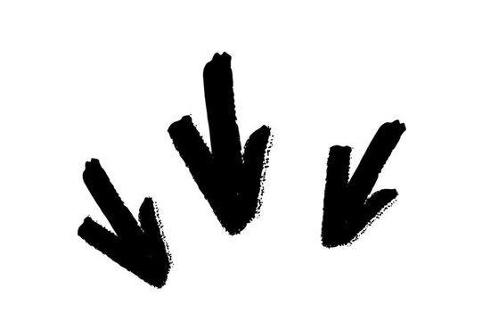 Modern Arrow Animation Pack and Animated Arrow Icons Pack