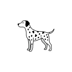 Fototapeta premium Dalmatian Dog Outline vector illustration