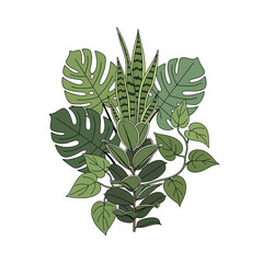 Collection of Tropical Leaves and Foliage. © UMI