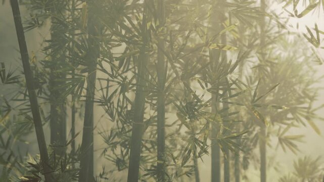 bamboo trunks dense golden light, towering stalks and filtered sun create sacred path feeling with deep perspective, mossy ground and hushed atmosphere.