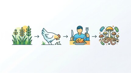 Sustainability Journey from Farm to Table Illustrating Agricultural Practices Chicken Farming and Microbial Ecosystems Influence on Culinary Experience