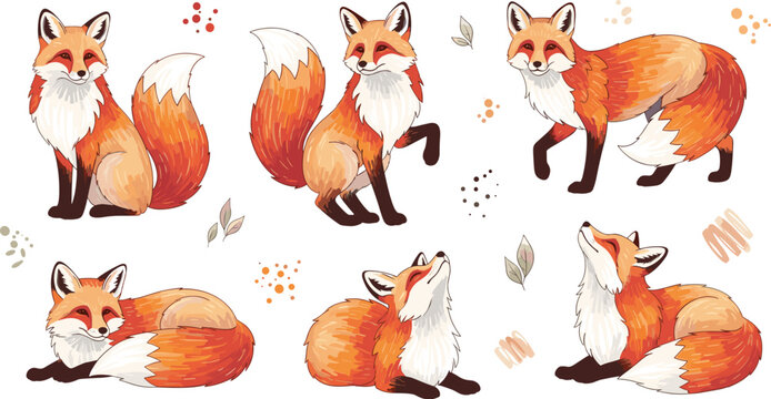 Set of cute red fox characters, hand drawn illustrations of forest animals in various poses, wildlife vector art isolated on white background