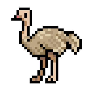 Pixel art ostrich bird - retro 8bit wildlife animal character sprite