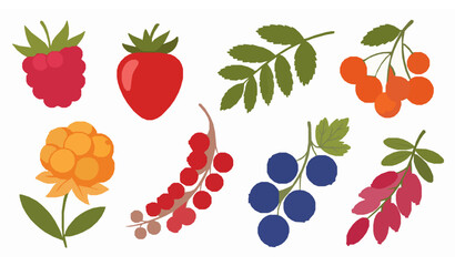 Whimsical Berry Vector Illustration Set with Raspberry, Strawberry, Rowan, and More © Songkari