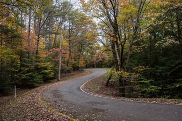 Obraz premium Curving autumn road at Fall Creek Falls 