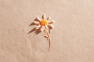 Fototapeta premium Peach textured backdrop with a single daisy formed from powdered pigments casting a long soft shadow in a minimalist composition