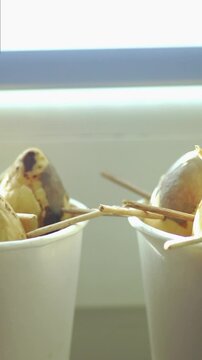Sprouting avocado pits held with toothpicks above cups in window light during home cultivation experiment. Represents sustainable food growing, DIY plant propagation, and indoor gardening curiosity.