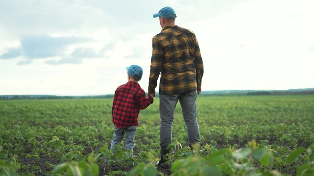Farmer son walk in soybean field. Family bonding in soybean farm. Father and child explore nature. Scenic family farmer soybean walk. Plaid shirts blue hats farm life. Family connection in agriculture
