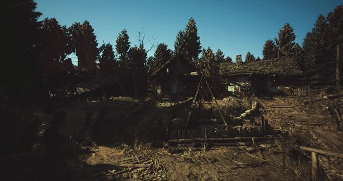 winding trail through sunlit pines leading toward ridge, gravel path weaving between trunks, dappled light on ferns and moss, panoramic vantage with rugged