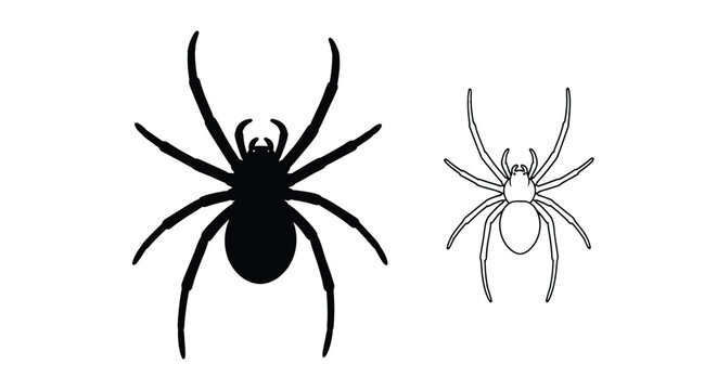 Two spiders in contrasting styles solid black and white outline