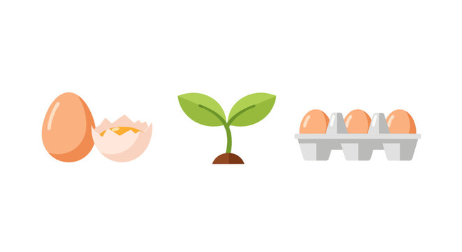 Growth process: egg hatching to seedling with eggs in carton