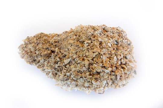 Shelly ground. An intermediate state between an agglomerate of crushed shells and pressed shell rock. The fragment is isolated on a white background