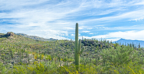 Obraz premium The park is located among picturesque desert landscapes