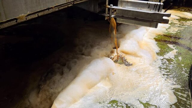 Liquid waste drainage of dissolved beechwood tar and foam during factory cleaning