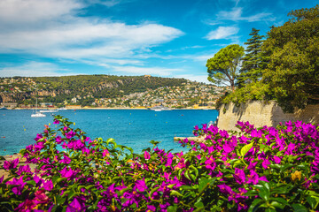 Flowery beach in the bay of Villefranche sur Mer, France