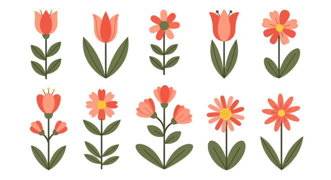 Collection of Various Pink Flowers.