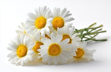 Obraz premium a bouquet of daisies with yellow centers and white petals on the right side, against a white background Generative AI