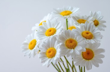 Fototapeta premium a bouquet of daisies with yellow centers on a white background, macro photography, floral still life style Generative AI